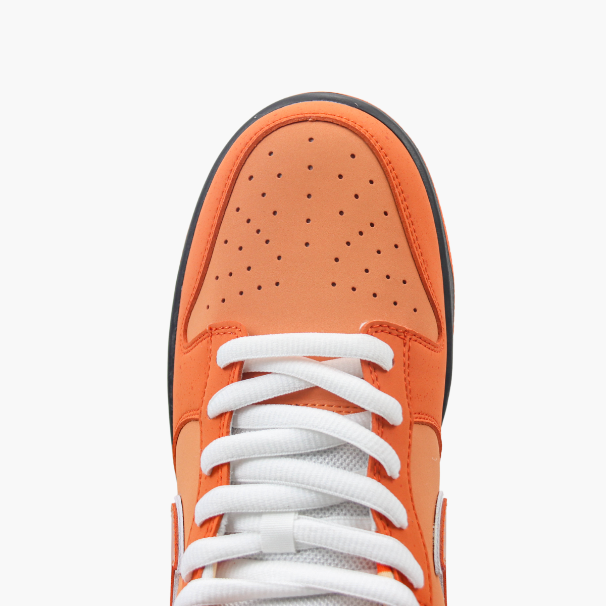 Dunk Low x Concepts Orange Lobster